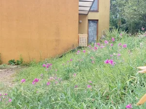 Prodej rodinného domu, Praha, Pod altánem, 150 m2