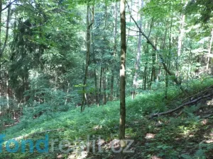 Prodej pozemku, Dolní Dobrouč, 4634 m2