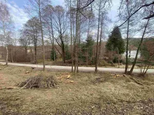 Prodej pozemku, Horní Stropnice - Šejby, 1757 m2