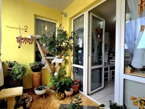 Prodej bytu 3+kk, Zruč nad Sázavou, náměstí Míru, 80 m2