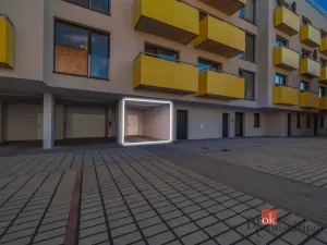 Prodej bytu 2+kk, Brno - Zábrdovice, Bratislavská, 59 m2