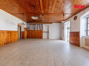 Prodej obchodního prostoru, Týnec nad Labem, Havlíčkova, 207 m2