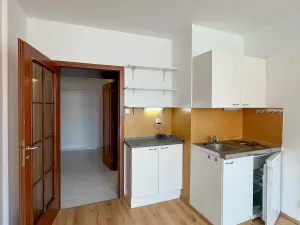 Pronájem bytu 1+kk, Praha - Vinohrady, Římská, 25 m2