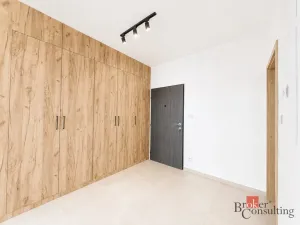 Pronájem bytu 2+kk, Plzeň - Jižní Předměstí, Železná, 79 m2