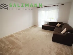 Pronájem bytu 3+1, Plzeň, Pod Švabinami, 74 m2