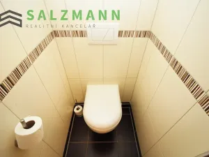 Pronájem bytu 3+1, Plzeň, Pod Švabinami, 74 m2