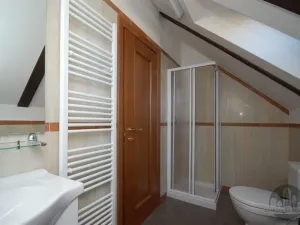 Pronájem bytu 2+kk, Praha - Vinohrady, Slavíkova, 57 m2