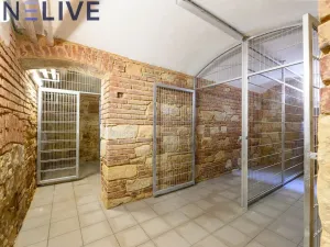 Pronájem bytu 3+1, Plzeň, Kardinála Berana, 105 m2