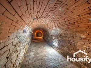 Pronájem vinného sklepa, Hodonice, Janská, 50 m2