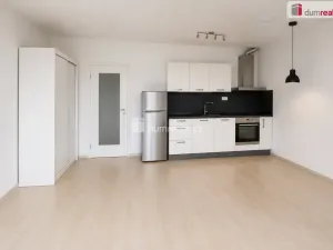 Pronájem bytu 1+kk, Praha - Libeň, V mezihoří, 40 m2