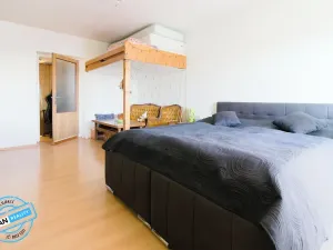 Prodej vícegeneračního domu, Staré Město, 144 m2