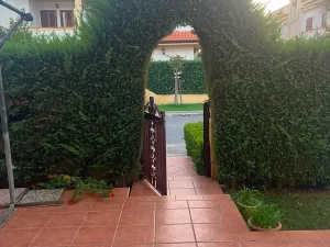 Prodej bytu 3+kk, Scalea, Itálie, 55 m2