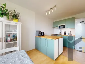 Prodej bytu 3+1, Praha - Braník, Novodvorská, 73 m2