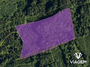Prodej podílu lesa, Životice u Nového Jičína, 5078 m2