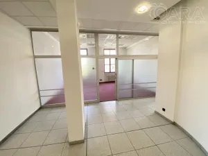 Pronájem kanceláře, Vyškov - Vyškov-Město, 111 m2