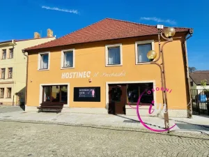 Pronájem komerční nemovitosti, Luka nad Jihlavou, nám. 9. května, 282 m2