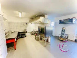 Pronájem komerční nemovitosti, Luka nad Jihlavou, nám. 9. května, 282 m2