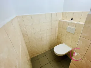 Pronájem komerční nemovitosti, Luka nad Jihlavou, nám. 9. května, 282 m2