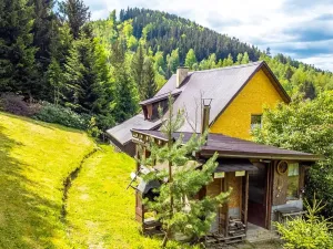 Prodej chalupy, Desná, Krkonošská, 380 m2