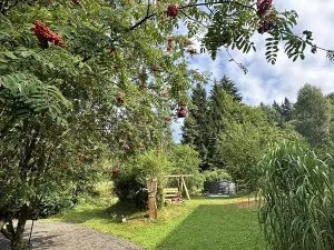 Prodej chalupy, Desná, Krkonošská, 380 m2