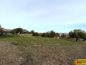 Prodej pozemku pro bydlení, Pavlov, 1132 m2