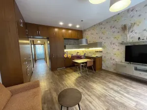 Pronájem bytu 1+kk, Praha - Vinohrady, Jana Masaryka, 52 m2