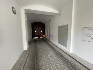 Pronájem bytu 1+kk, Praha - Vinohrady, Jana Masaryka, 52 m2
