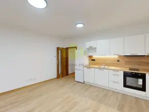 Pronájem bytu 1+kk, Olomouc, Janského, 35 m2