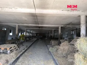 Prodej zemědělského objektu, Vlašim - Bolina, 3150 m2