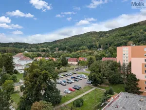 Prodej bytu 2+1, Krupka - Maršov, Karla Čapka, 61 m2