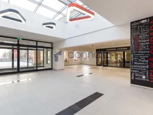 Pronájem obchodního prostoru, Praha, Prusíkova, 55 m2