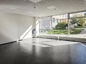 Pronájem obchodního prostoru, Praha, Prusíkova, 55 m2
