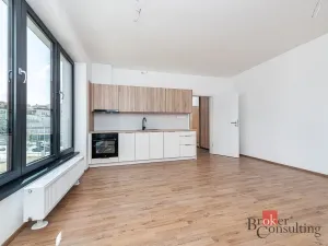 Pronájem bytu 1+kk, Plzeň - Jižní Předměstí, Železná, 38 m2