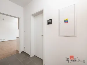 Pronájem bytu 1+kk, Plzeň - Jižní Předměstí, Železná, 38 m2
