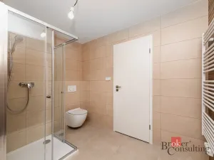 Pronájem bytu 1+kk, Plzeň - Jižní Předměstí, Železná, 38 m2