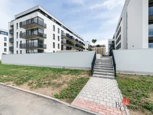 Pronájem bytu 1+kk, Plzeň - Jižní Předměstí, Železná, 38 m2
