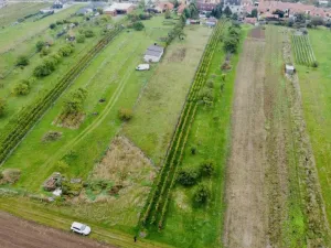 Prodej sadu/vinice, Týnec, Náves, 1237 m2