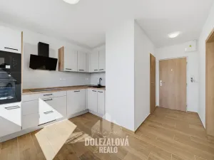 Pronájem bytu 1+1, Jihlava, Královský vršek, 32 m2