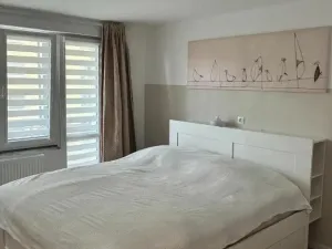Prodej bytu 3+kk, Písek - Budějovické Předměstí, Budovatelská, 78 m2