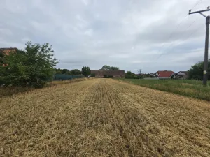Prodej pozemku pro bydlení, Nové Syrovice, 1963 m2