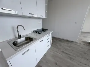 Pronájem bytu 1+1, Ústí nad Labem - Neštěmice, Sibiřská, 42 m2