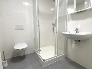 Pronájem bytu 1+kk, Brno - Maloměřice, Hády, 18 m2