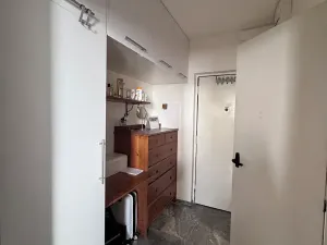 Prodej bytu 1+kk, Brno, Halasovo náměstí, 23 m2
