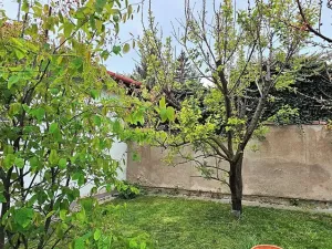 Pronájem bytu 2+kk, Brno, Berkova, 45 m2