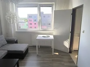 Pronájem bytu 2+1, Cheb, Dvořákova, 62 m2
