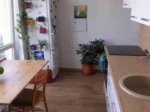 Pronájem pokoje, Brno, Veveří, 20 m2