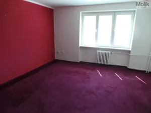 Prodej bytu 1+1, Meziboří, Okružní, 44 m2