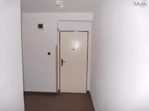 Prodej bytu 1+1, Meziboří, Okružní, 44 m2
