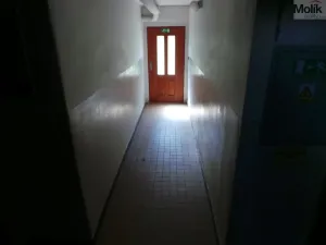 Prodej bytu 1+1, Meziboří, Okružní, 44 m2