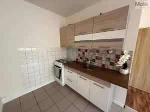 Pronájem bytu 2+kk, Most, Josefa Suka, 40 m2